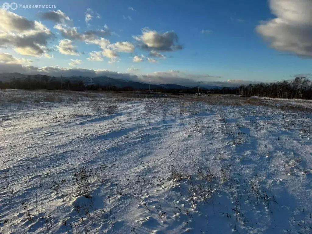 Участок в Камчатский край, Елизовский муниципальный округ, СНТ Рыбак ... - Фото 2