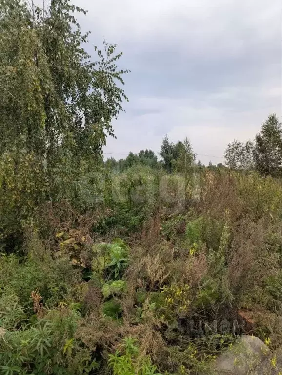 Участок в Тюменская область, Тюмень Поле Чудес СНТ, ул. Западная, 46 ... - Фото 1