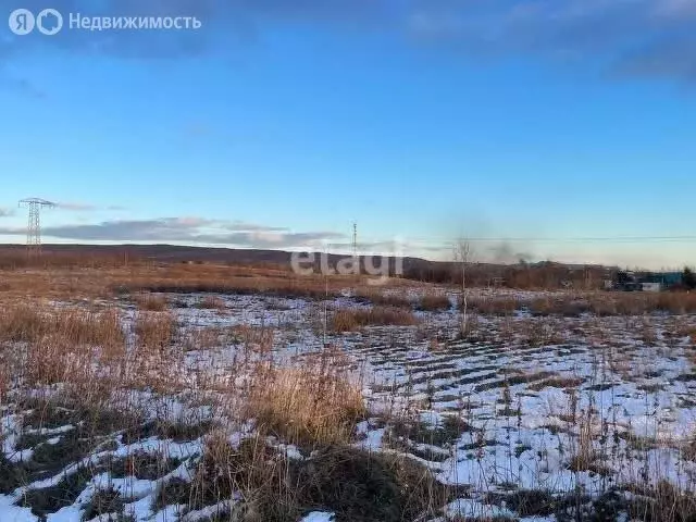 Участок в Елизовский район, СНТ Кедровый (5 м) - Фото 0