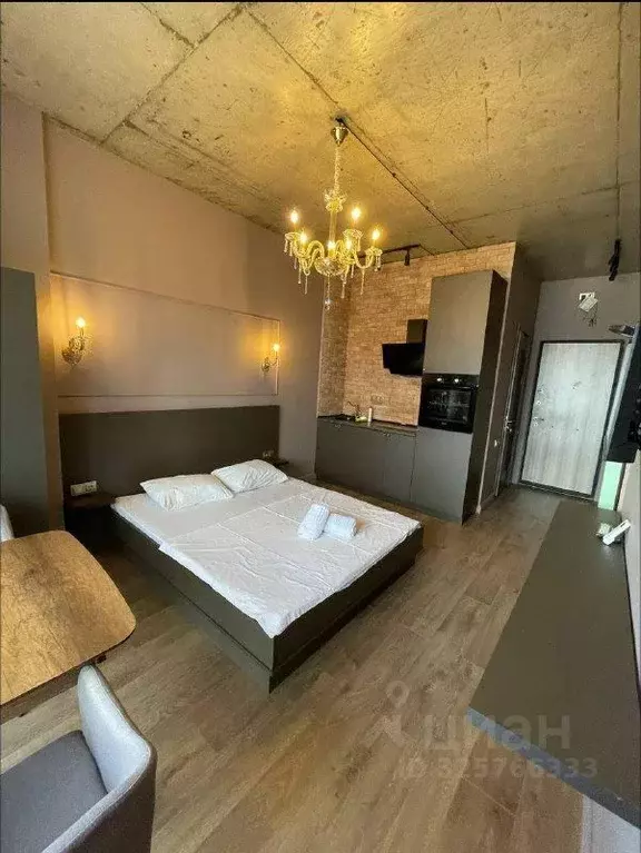 Студия Краснодарский край, Сочи Виноградная ул., 2/3В (25.0 м) - Фото 1