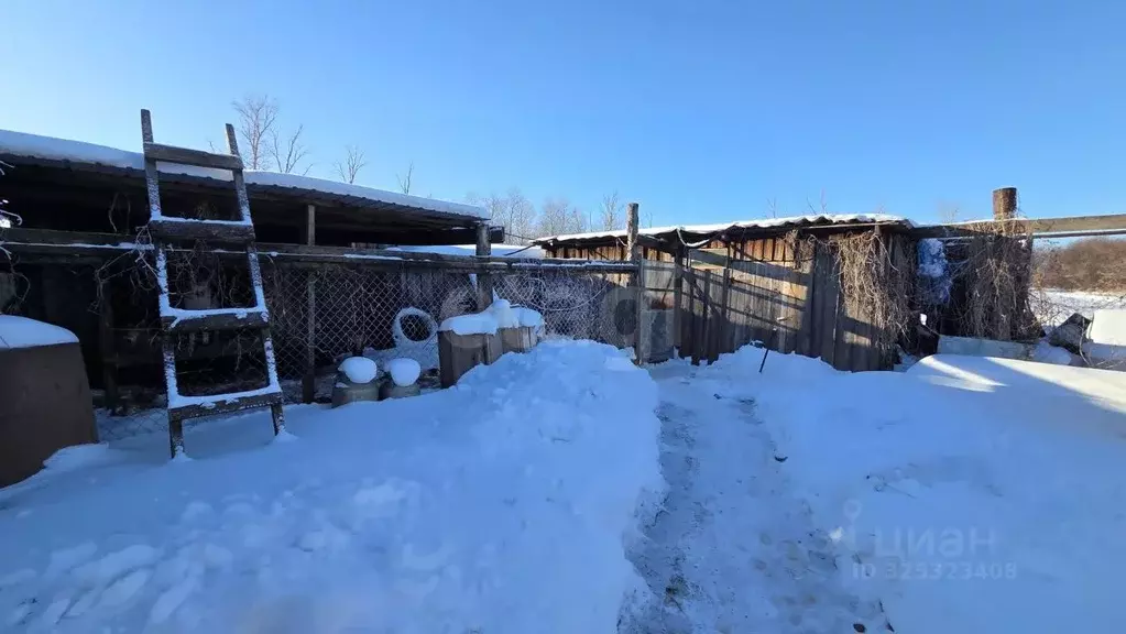Дом в Амурская область, Тамбовский муниципальный округ, с. ... - Фото 1