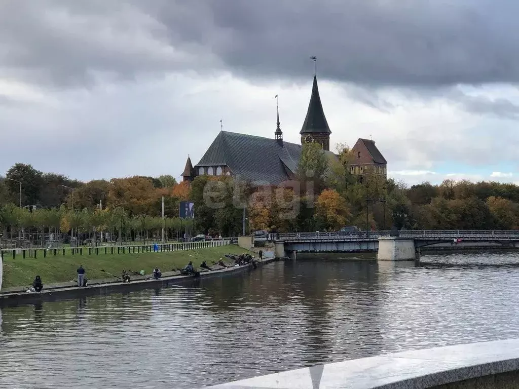 2-к кв. Калининградская область, Калининград Московский просп., 64 ... - Фото 2