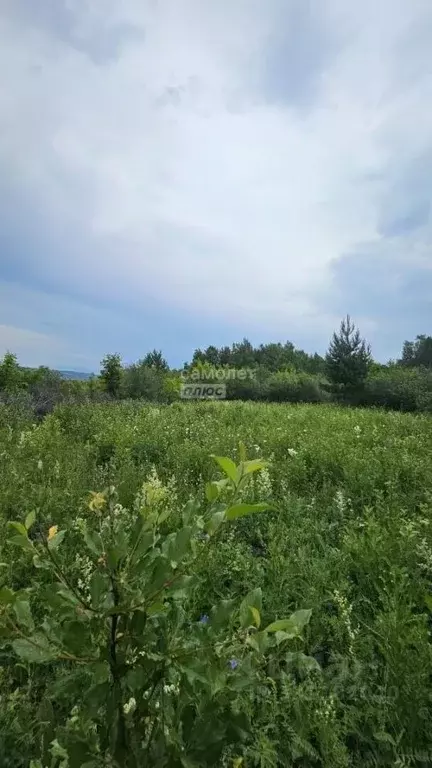 Участок в Башкортостан, Октябрьский ул. Гатиятуллина (6.0 сот.) - Фото 2