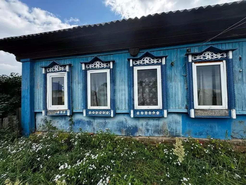 Дом в Удмуртия, Камбарский район, д. Нижний Армязь ул. Чернышева, 6 ... - Фото 1