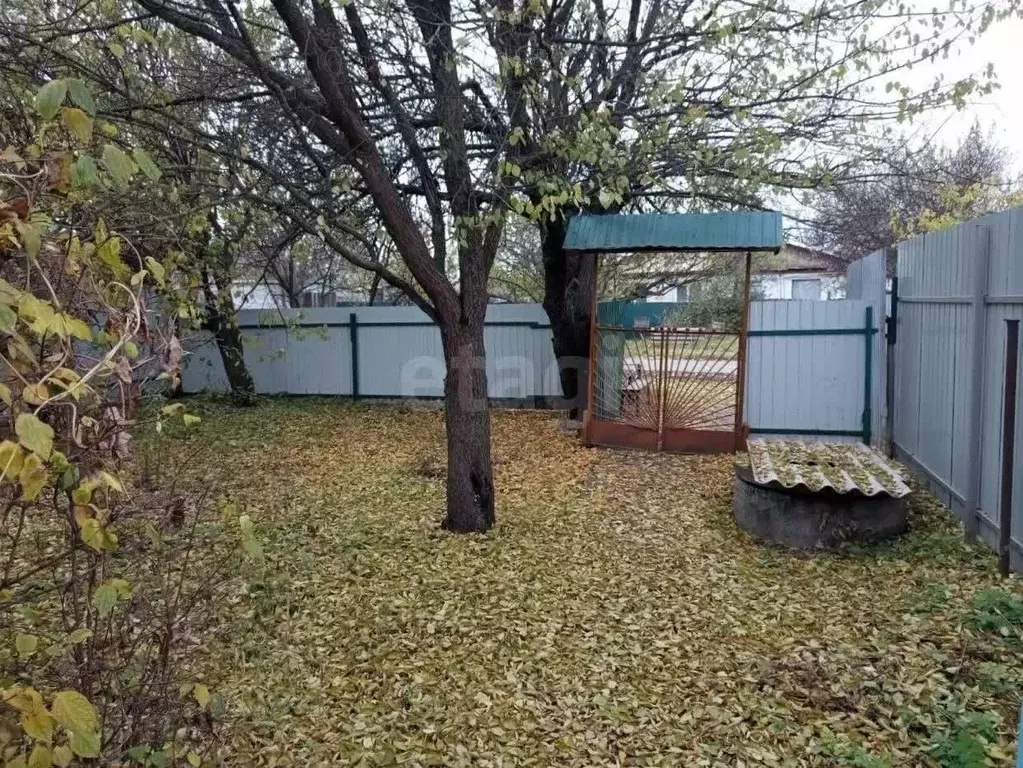 Дом в Белгородская область, Губкин Верхняя ул., 8 (37 м) - Фото 1