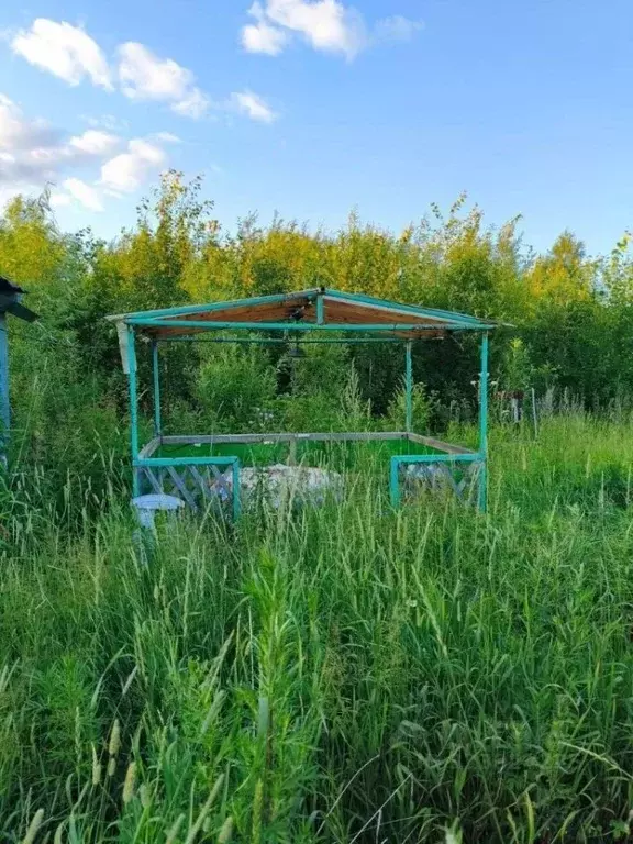 Участок в Томская область, Александровский район, Ягодка СОТ ул. 1-я, ... - Фото 2