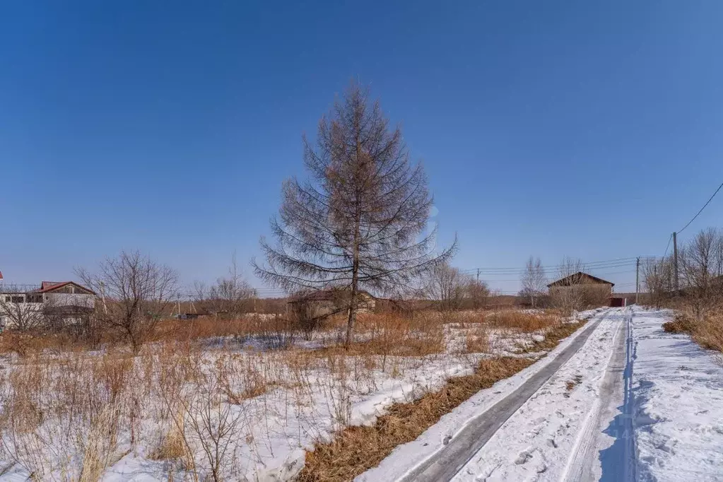 Участок в Хабаровский край, Хабаровск ул. Ветеран 1-6, 18 (12.0 сот.) - Фото 2