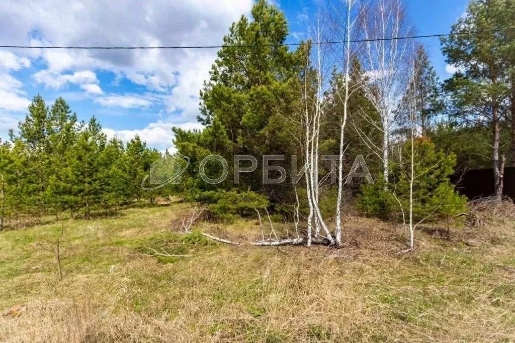 Участок в Тюменская область, Тюменский муниципальный округ, с. Успенка ... - Фото 2