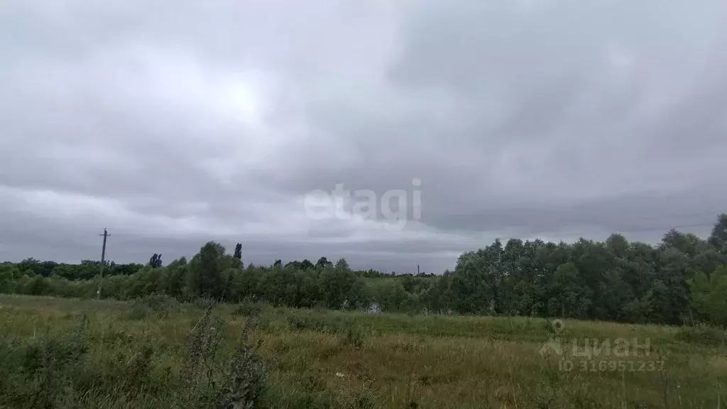 Участок в Белгородская область, Белгородский район, Беловское с/пос, ... - Фото 1