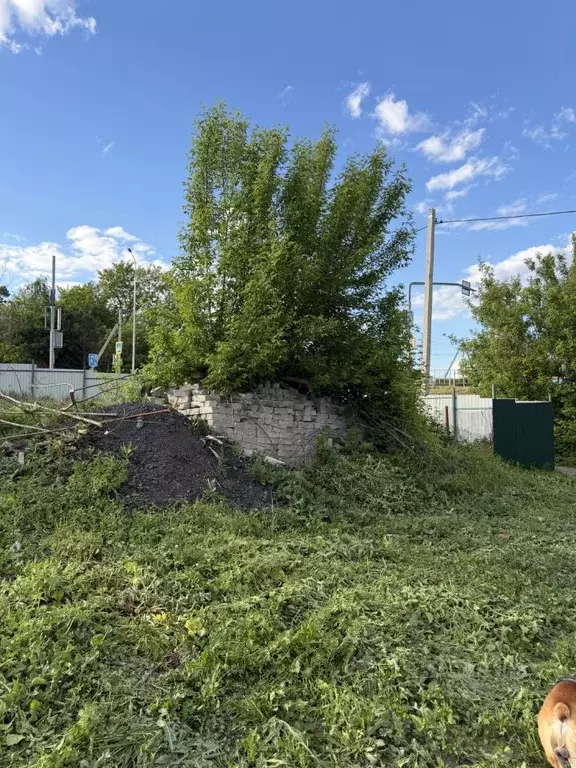 Участок в Белгородская область, Яковлевский муниципальный округ, с. ... - Фото 2