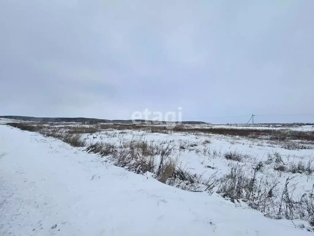 Участок в Ульяновская область, Ульяновск городской округ, пос. ... - Фото 0