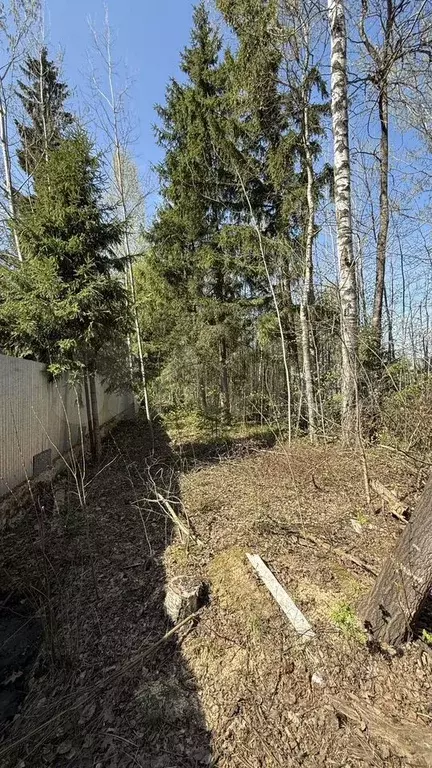Участок 12 сот. (ИЖС) - Фото 1
