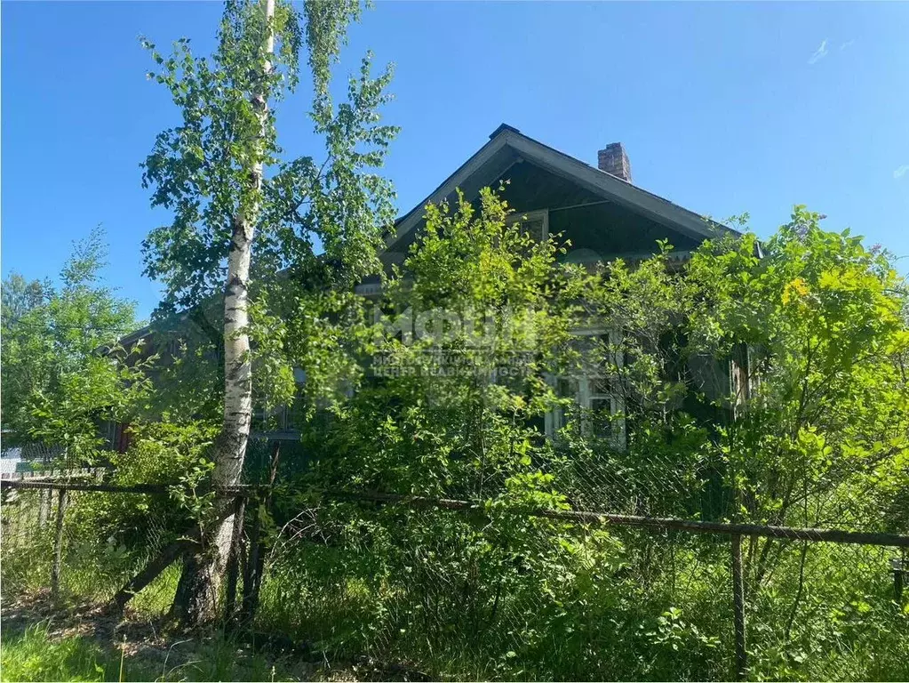 Дом 55 м на участке 8 сот. - Фото 1