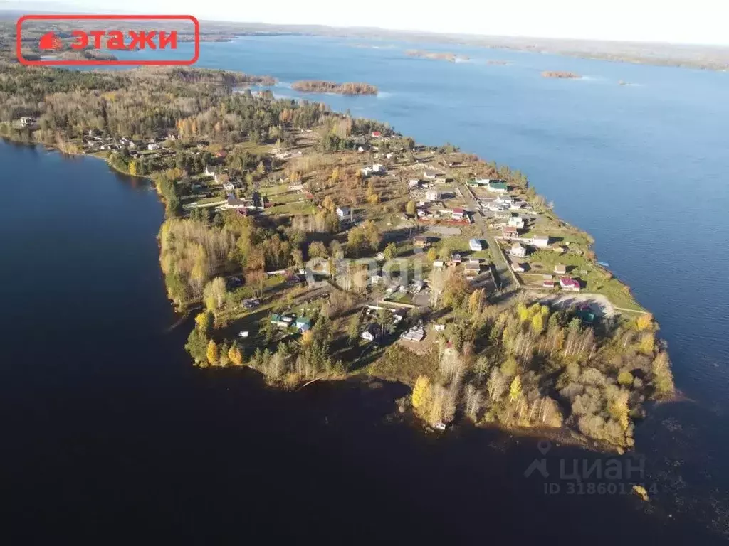 Участок в Карелия, Прионежский район, Шуйское с/пос, Жилой массив ... - Фото 0