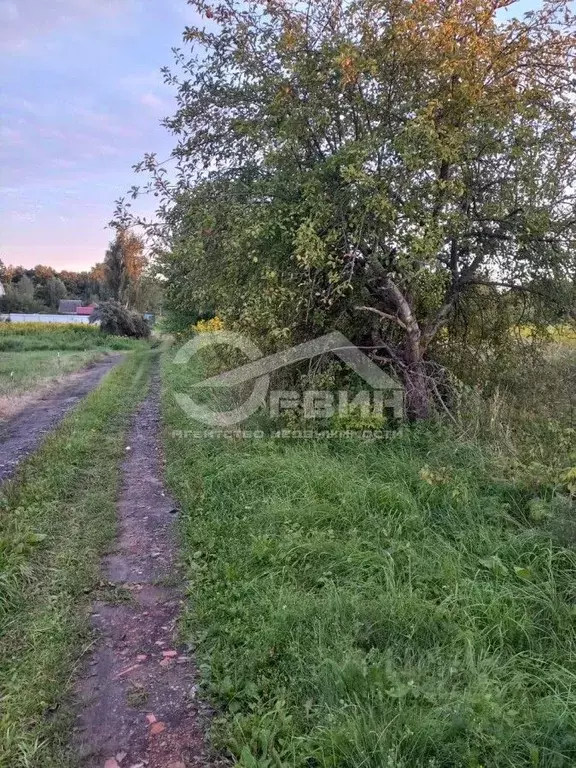 Участок в Калининградская область, Калининград Родник СНТ, ул. Дачная ... - Фото 1