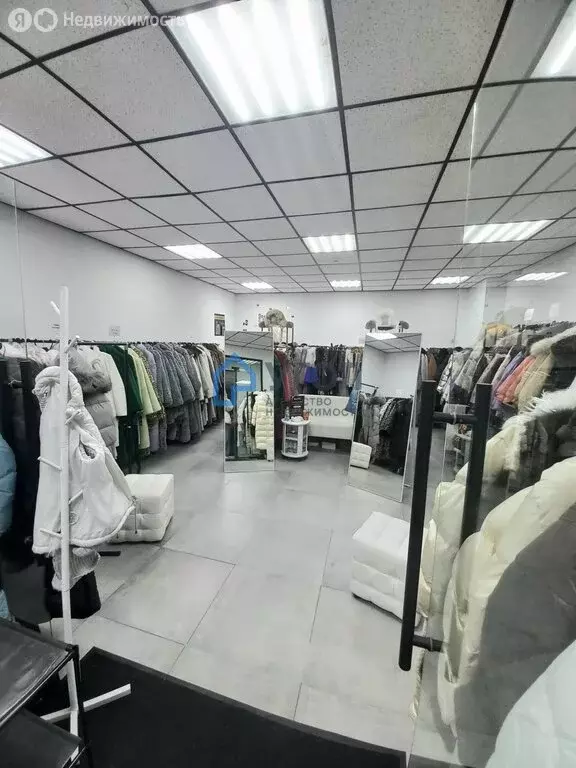 Помещение свободного назначения (37.5 м) - Фото 2