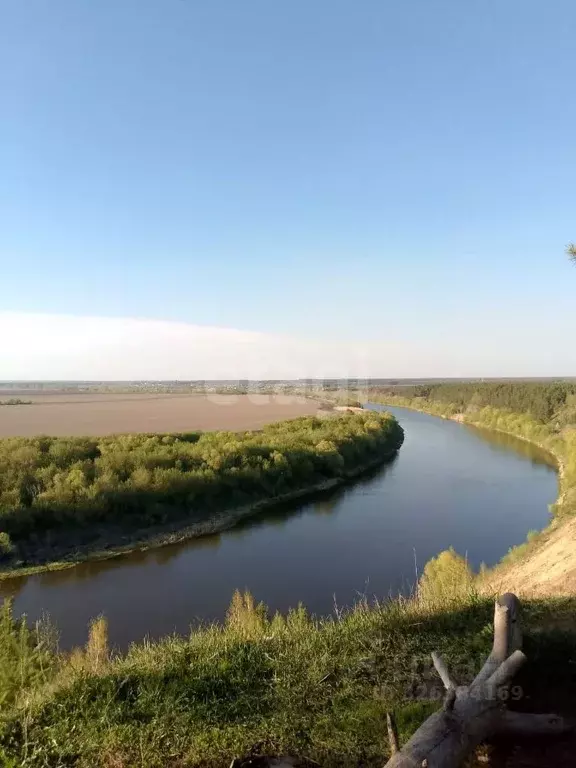 Участок в Воронежская область, Рамонский район, Комсомольское с/пос, ... - Фото 1