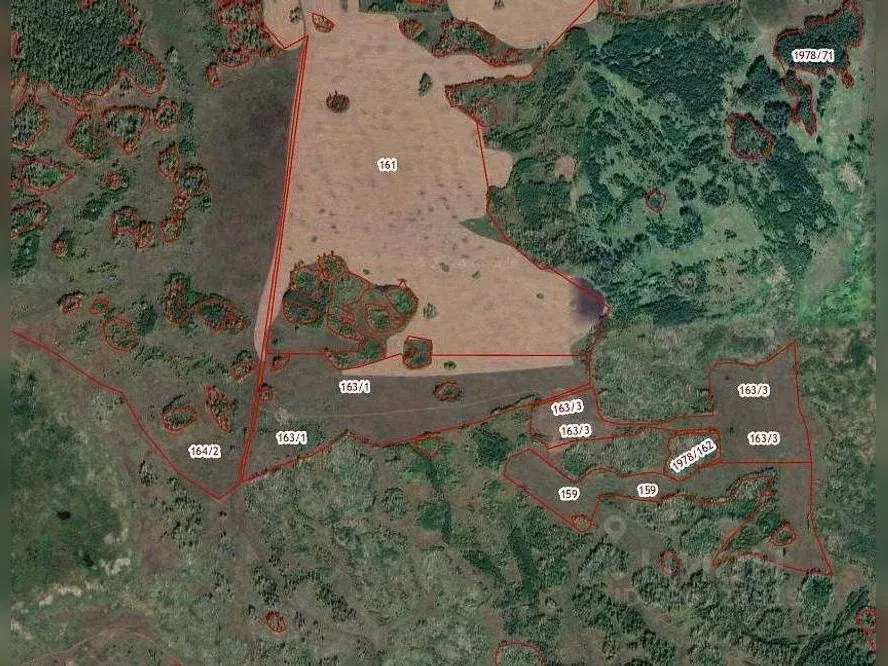 Участок в Омская область, Любинский район, пос. Пролетарский  ... - Фото 1