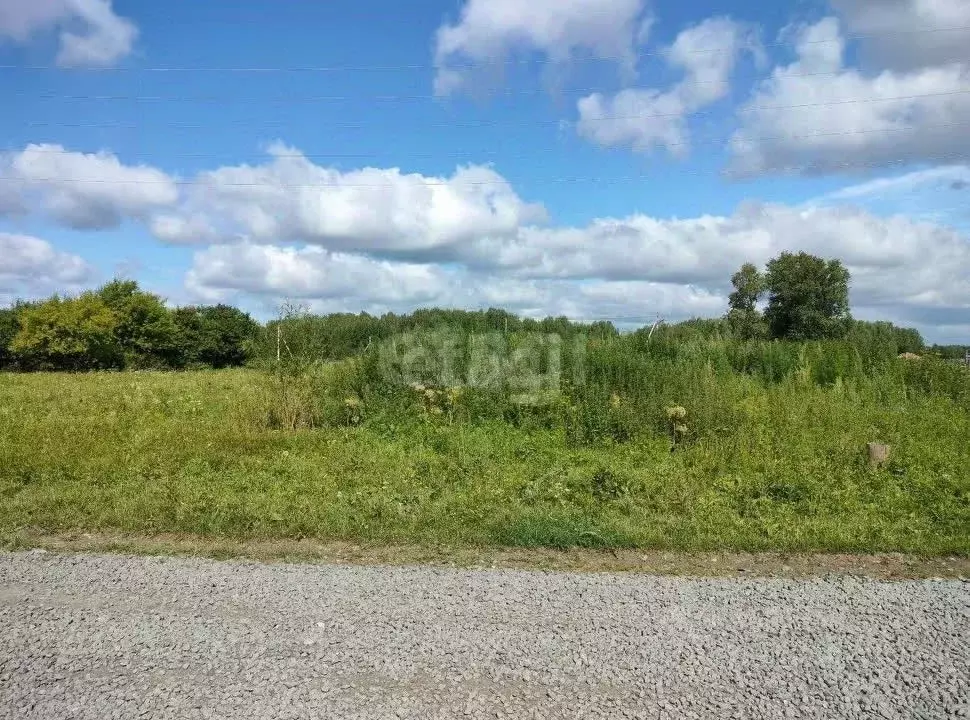 Участок в Свердловская область, Слободо-Туринский район, ... - Фото 1