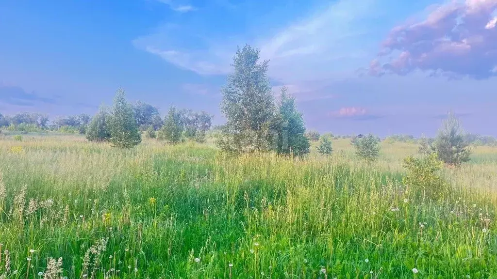 Участок в Алтайский край, Первомайский район, пос. Новый ул. ... - Фото 0