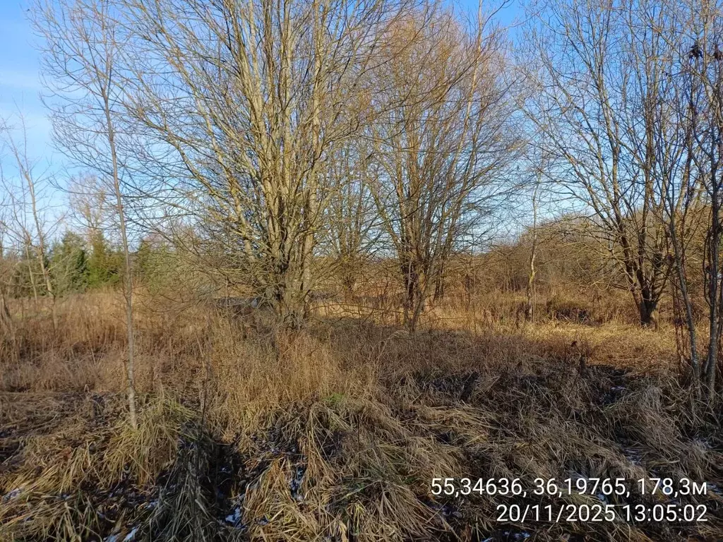 Участок в Московская область, Верея Наро-Фоминский городской округ,  ... - Фото 1