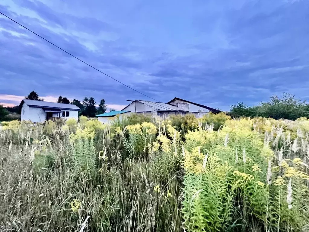 Участок в Нижегородская область, Дальнеконстантиновский муниципальный ... - Фото 2