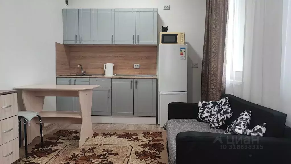 Студия Санкт-Петербург ул. Чарушинская, 22к1 (22.0 м) - Фото 0