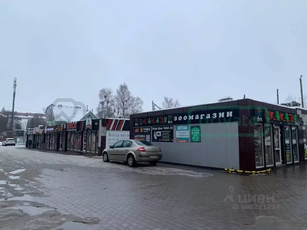 Помещение свободного назначения в Калининградская область, Светлогорск ... - Фото 1