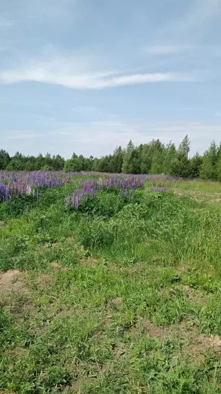 Участок в Московская область, Егорьевск муниципальный округ, д. ... - Фото 1