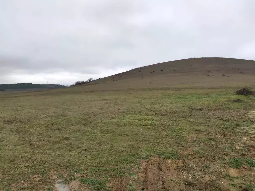 Участок в Крым, Симферопольский район, Чистенское с/пос, с. Камышинка  ... - Фото 1