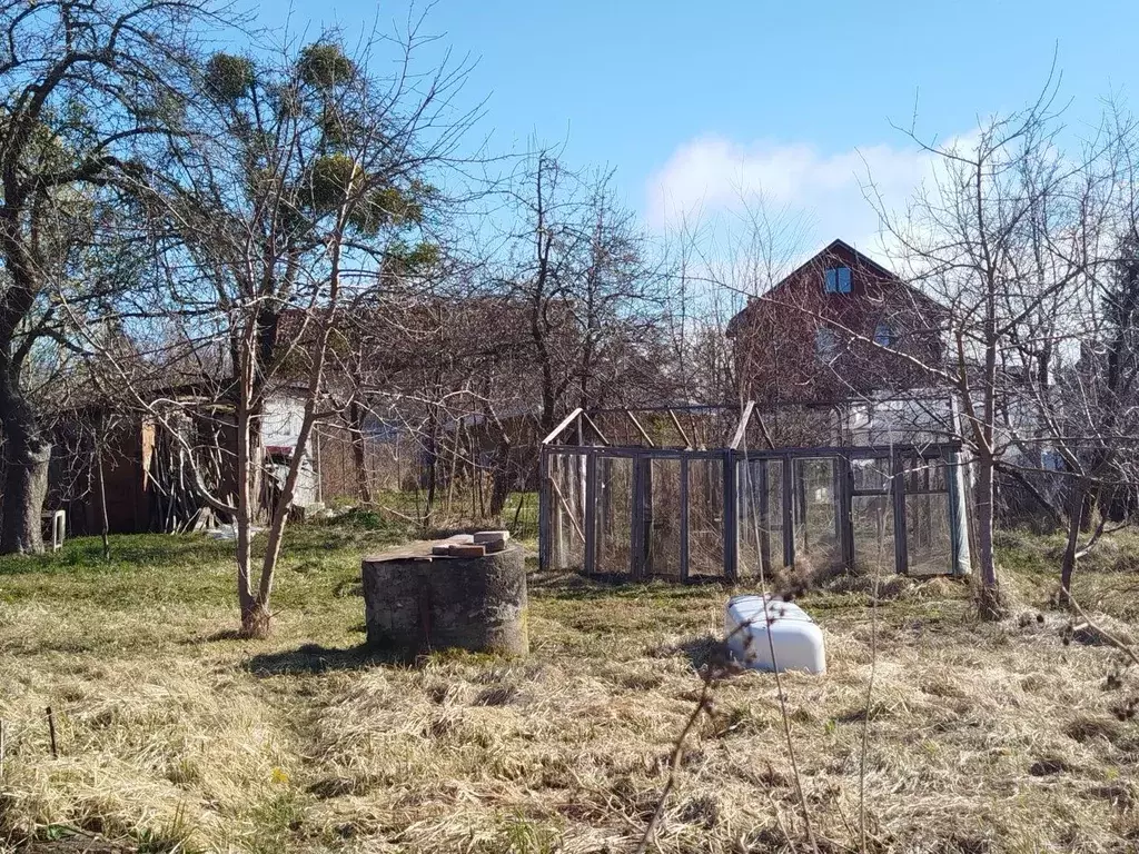 Участок в Калининградская область, Калининград Победа садовое ... - Фото 2