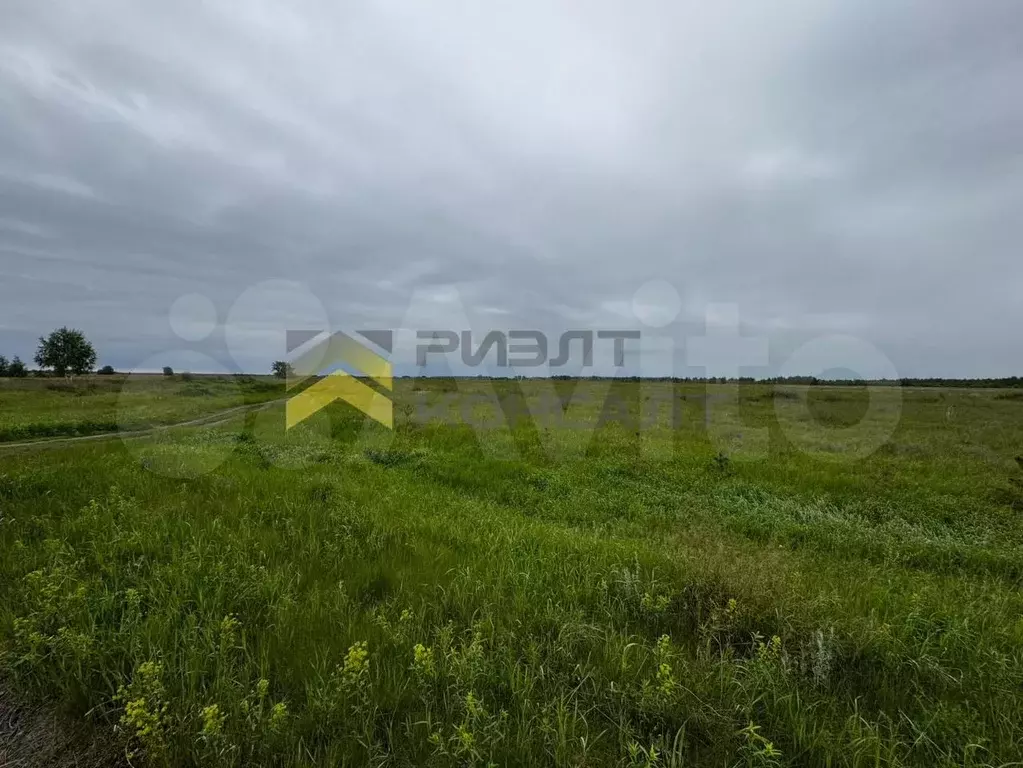 Участок 12 сот. (СНТ, ДНП) - Фото 1