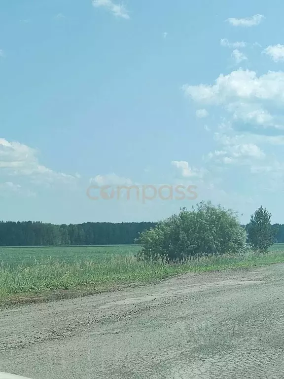 Участок в Тюменская область, Тюменский район, Новокаменский кп ул. ... - Фото 0