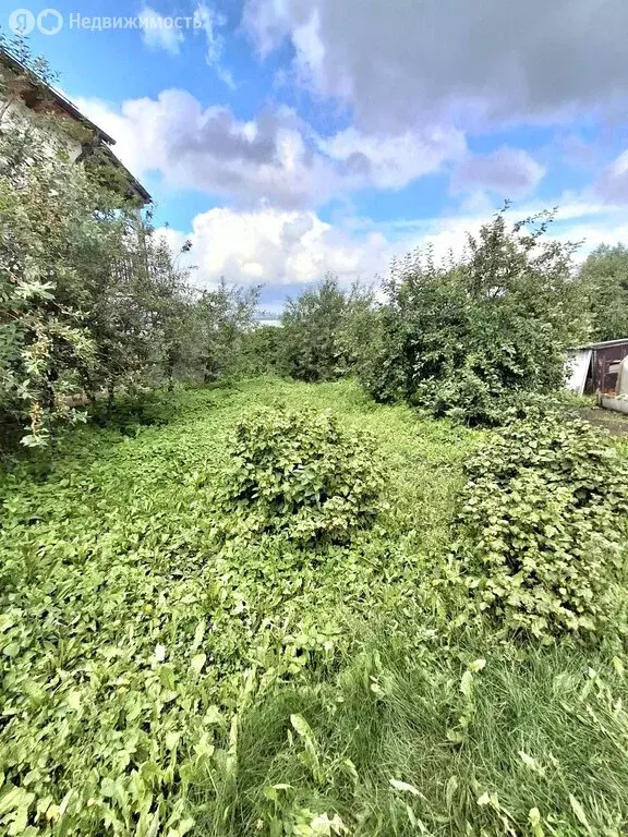 Дом в Копейский городской округ, село Синеглазово, Шоссейная улица, 10 ... - Фото 0