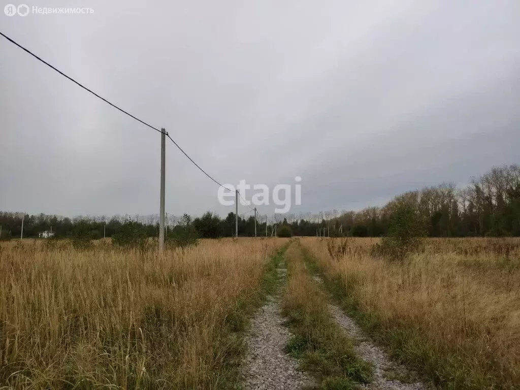 Участок в Калининградская область, Полесский муниципальный округ, ... - Фото 1