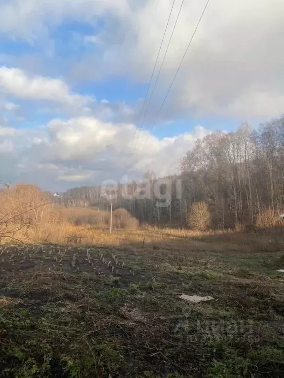 Участок в Новосибирская область, Новосибирский район, с. Раздольное  ... - Фото 1