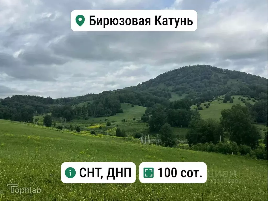 Участок в Алтай, Майминский район, с. Манжерок Ленинская ул. (100.0 ... - Фото 1