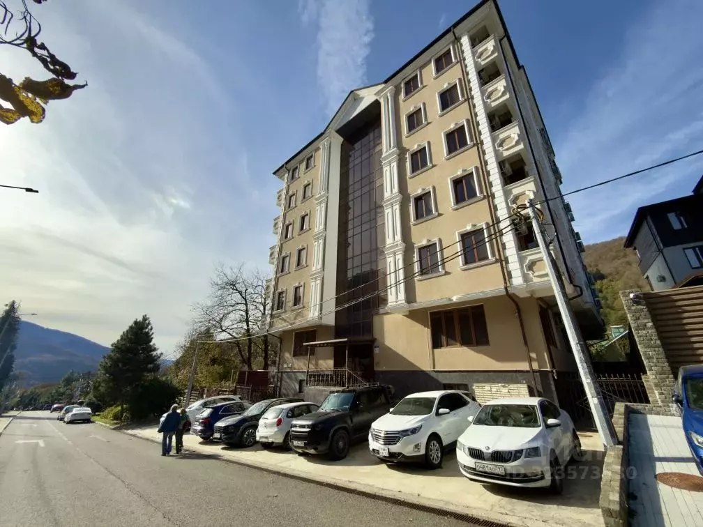 1-к кв. Краснодарский край, Сочи Красная Поляна пгт, ул. Турчинского, ... - Фото 1