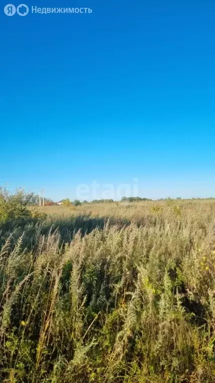 Участок в Амурская область, Белогорский муниципальный округ, село ... - Фото 1