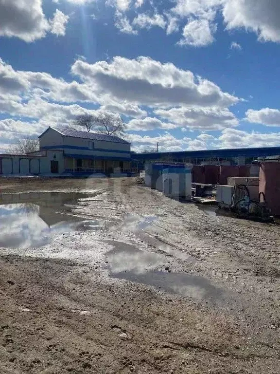 Склад в Амурская область, Благовещенск Тополиная ул., 3 (475 м) - Фото 1