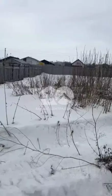 Участок в Новосибирская область, Новосибирский район, Толмачевский ... - Фото 1