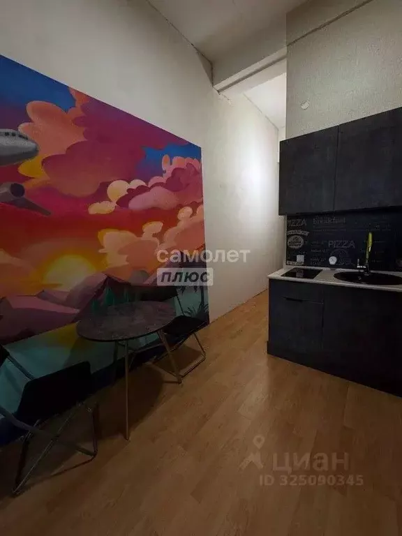 Студия Свердловская область, Екатеринбург ул. Испытателей, 24 (25.3 м) - Фото 1