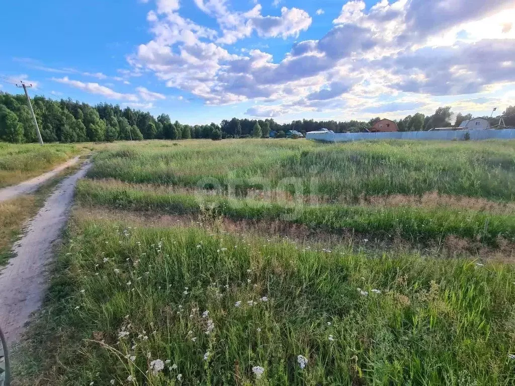 Участок в Владимирская область, Покров городской округ, д. Барсково  ... - Фото 2