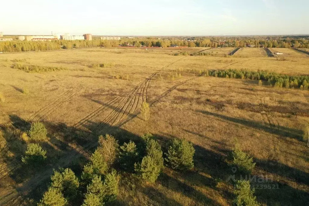 Участок в Московская область, Рузский муниципальный округ, д. ... - Фото 2