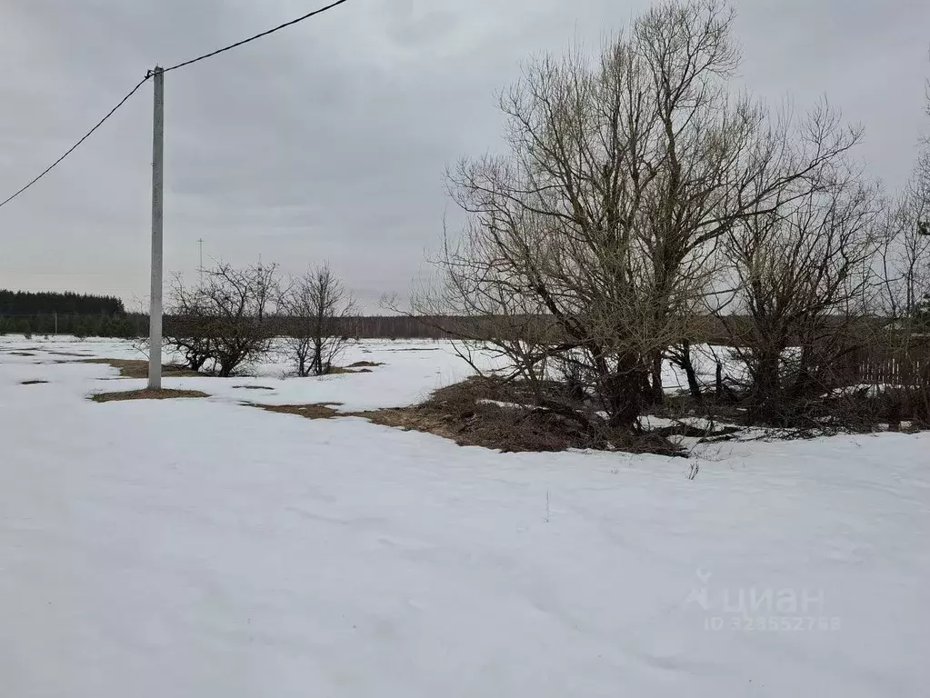 Участок в Московская область, Орехово-Зуевский городской округ, д. ... - Фото 1
