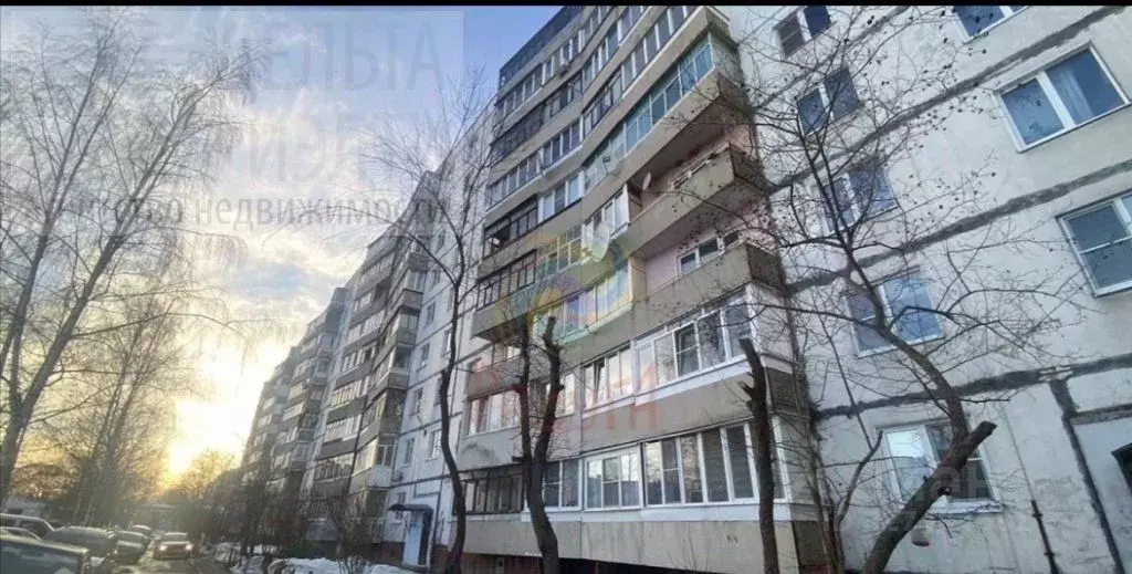 1-к кв. Ивановская область, Ивановский муниципальный округ, с. ... - Фото 1