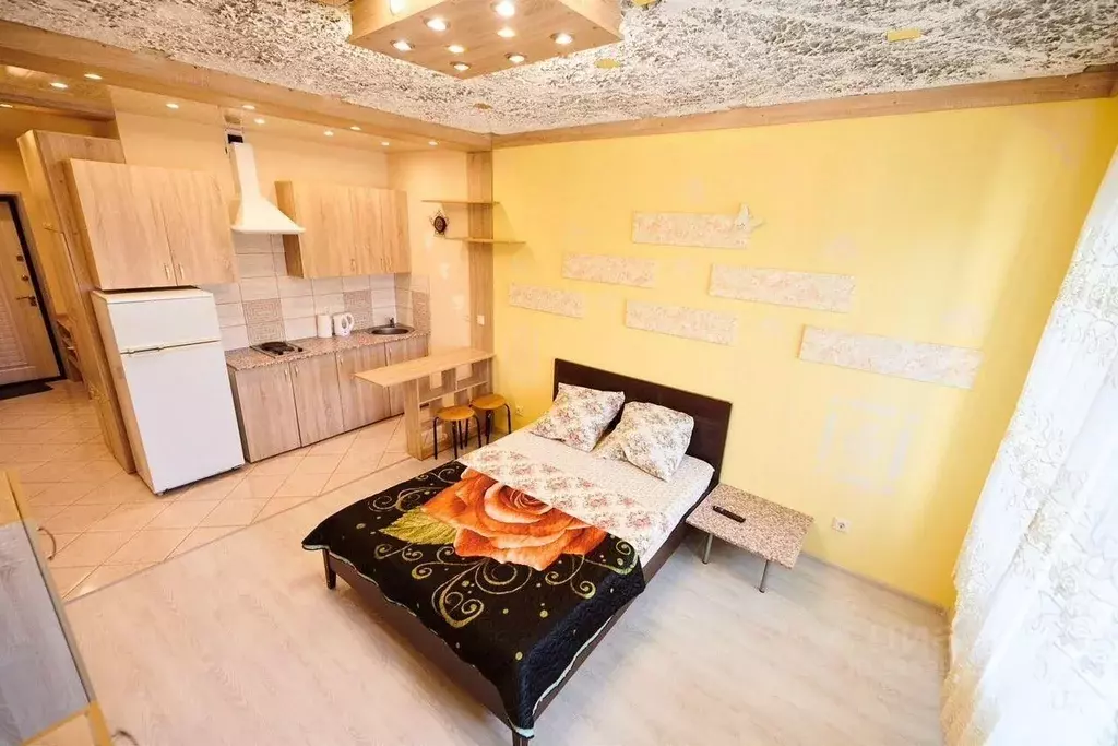 1-к кв. Московская область, Ногинск Богородский городской округ, ул. ... - Фото 2