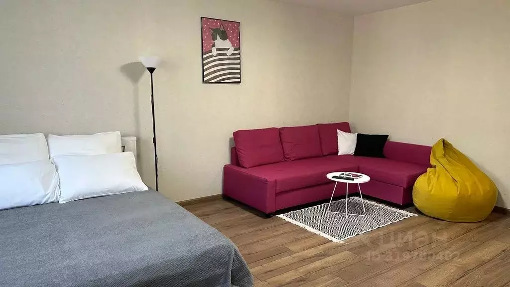 Студия Ярославская область, Ярославль Спартаковская ул., 1 (31.0 м) - Фото 2