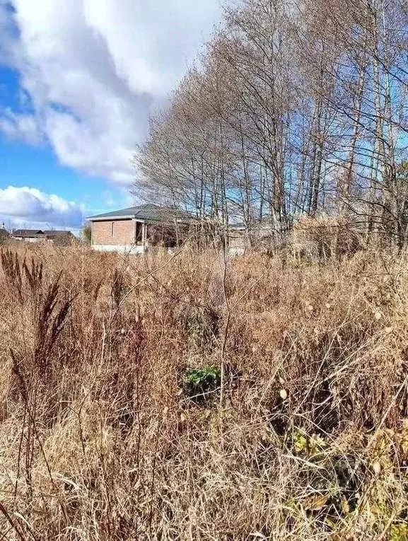 Участок в Воронежская область, Новоусманский район, с. Бабяково ... - Фото 1