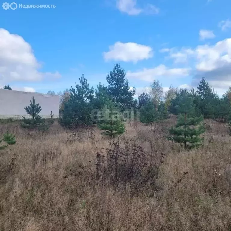 Участок в Ковардицы, Рублёвская улица (11.25 м) - Фото 1